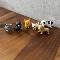 犬と猫のフィギュア6体セット リカちゃん ペットショップ