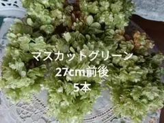 柏葉紫陽花•スノーフレーク 27cm前後 5本のサムネイル