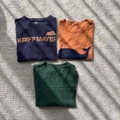 Item thumbnail for item 1718d8a9-bf9a-44fe-b858-534c79a084a6