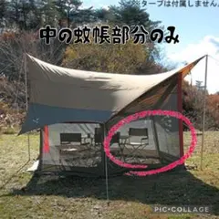 Item thumbnail for item 36d7e60c-a616-4671-9b72-f3c7beba3455