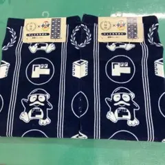 Item thumbnail for item d1801c51-85ad-49c0-aeda-5b4e80411fe5