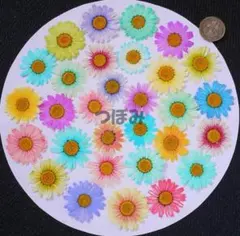 Haru工房❁⃘*.゜プロフ必読⚠️様 リクエスト 2点 まとめ商品