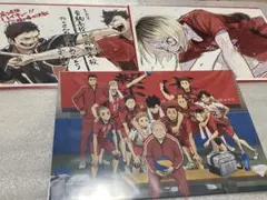 ハイキュー!! 劇場版　入場特典　集合写真　ビジュアルボード