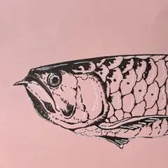 【原画】アロワナ