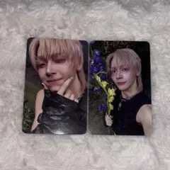 &team エンティーム Back to Life ROAR ニコラス トレカ