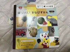 こどもちゃれんじ はっけん！まなびずかんのサムネイル