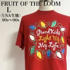 90s〜00s フルーツオブザルーム シングルステッチ Tシャツ 一点物のサムネイル