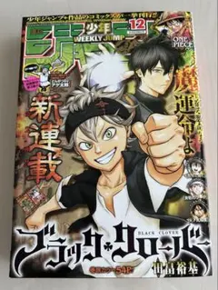 Item thumbnail for item 9a545963-6fc6-416b-8f08-93befe408bcd