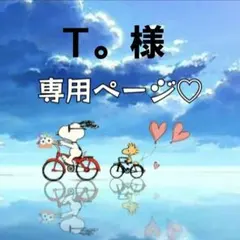 Ｔ。様専用ページ♡