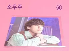 BTS 防弾少年団 소우주 SOWOOZOO ソウジュ ミニフォト V テテ ④