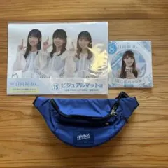 Item thumbnail for item 151b872f-c686-4d58-a21c-78020d3fafe1