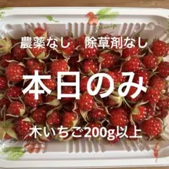 무농약, 제초제 무첨가, 딸기 200g 이상