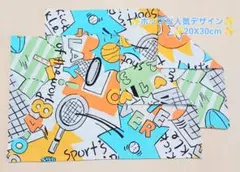 新品ランチョンマット2枚セット《No.SB13》