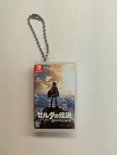 ゼルダの伝説 ブレスオブワイルド　カードポケットmini Switch