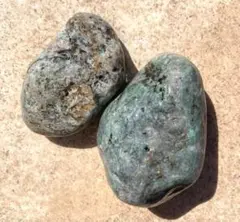 ヒスイ海岸で拾った石：キツネ石（大）