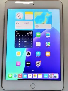 極美品　ipad mini5 256gb