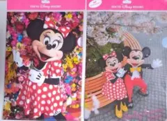 ディズニーランド／クリアファイル