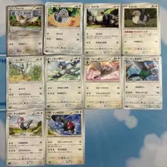 マメパト進化ラインまとめ売り 1枚〜バラ売り可（在庫45枚）