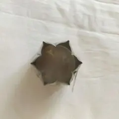 Item thumbnail for item 2af12869-3376-44bb-a951-0fd30dd7bbf2