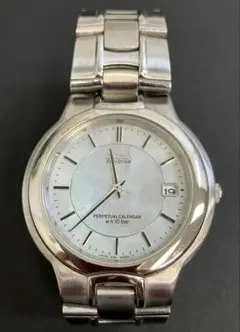 【稼働品】CITIZEN Eco-Drive パーペチュアルカレンダー 腕時計のサムネイル