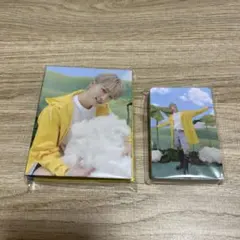 seventeen ディノ heaven バインダー