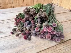 cutemio様 リクエスト 2点 まとめ商品