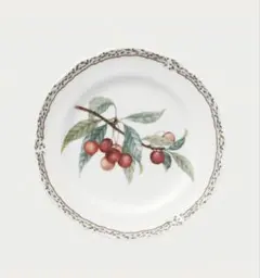 Noritake ノリタケ ロイヤルオーチャード プレート 皿　2枚セット