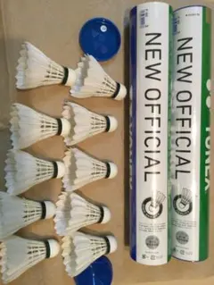 Item thumbnail for item 6b25d053-d25f-472d-b5be-40f8bacc00f8