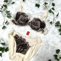 ❤️トリンプ❤️ブラショーツセット新品未使用　B75 ショーツM エコ素材ゴージャス