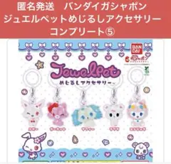 匿名発送　バンダイガシャポン　ジュエルペットめじるしアクセサリー　コンプリート⑤