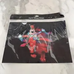 東京ディズニーリゾート ミッキーマウス クリアファイル ミニー ドナルド