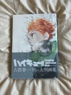 ハイキュー！！画集セット　大判画集終わりと始まり　公式カラーイラスト集ハイカラ