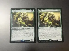MTG 土の王 2枚セット②