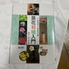 Item thumbnail for item a2d16a21-f1f9-46d3-94ae-3408a19c9dc2