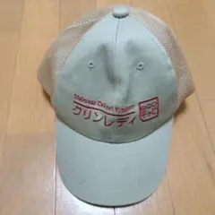 クリナップ　クリンレディ メッシュキャップ