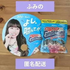 【非売品】ふみの × カンロ カンデミーナ 丸うちわ + グミセット