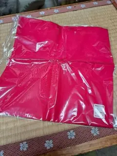 Item thumbnail for item 082d1028-8e8a-4e09-8d6b-1a0a62ca1a74