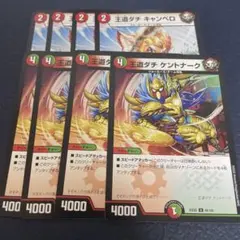 王道ダチ キャンベロ　王道ダチ ケントナーク　各4枚