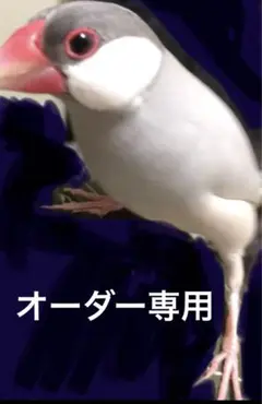 オーダー専用