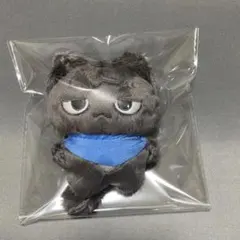 enhypen ジェイ ぬいぐるみ 10cm 新品 マスター - メルカリ