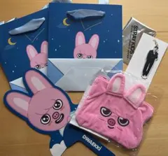 Stray Kids チャンビン DWAEKKI グッズ セット