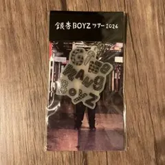 2026年最新】銀杏boyz 光の人気アイテム - メルカリ