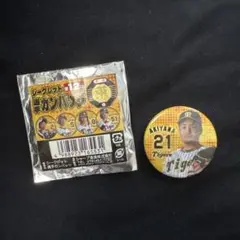 阪神タイガース 秋山拓巳 缶バッチ 缶バッジ