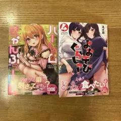 けんこ様専用ハーレムきゃんぷっ!7 よあそびぐらしっ4