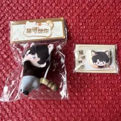 恋と深空 マヒル 猫很想你 ぬいぐるみ - メルカリ