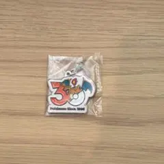 新品 ポケモン 30周年 メタルチャームマスコット リザードン