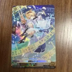 R 永遠に枯れぬ花 アナスタシア 2枚 - メルカリ