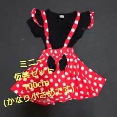 ミニーマウス 仮装 コスプレ ハロウィン 小さめなので90cmで着れます