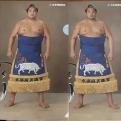 安美錦　クリアファイル 2枚