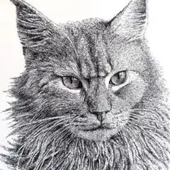 ライオン ネコ科 原画 鉛筆画 色鉛筆画 絵画 猫 手描き イラスト A5